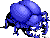 scarab